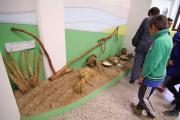 allestimento diorama con repliche archeologiche preistoria